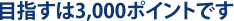 目指すは３,０００ポイントです