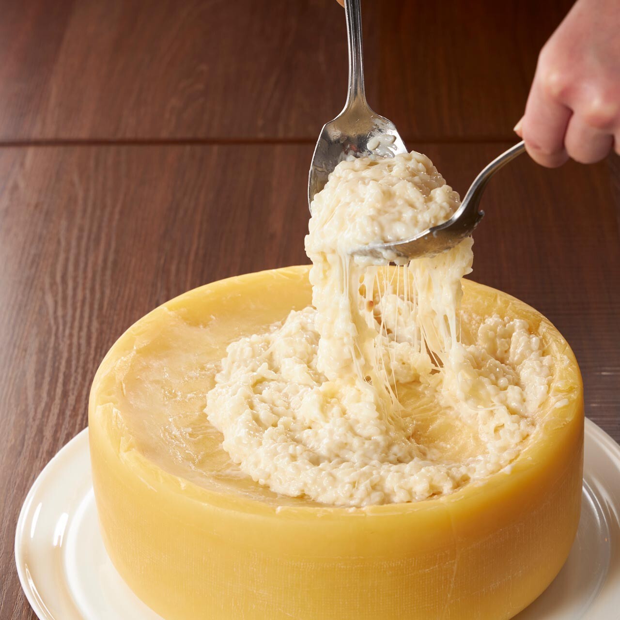 グランドメニュー おすすめ料理