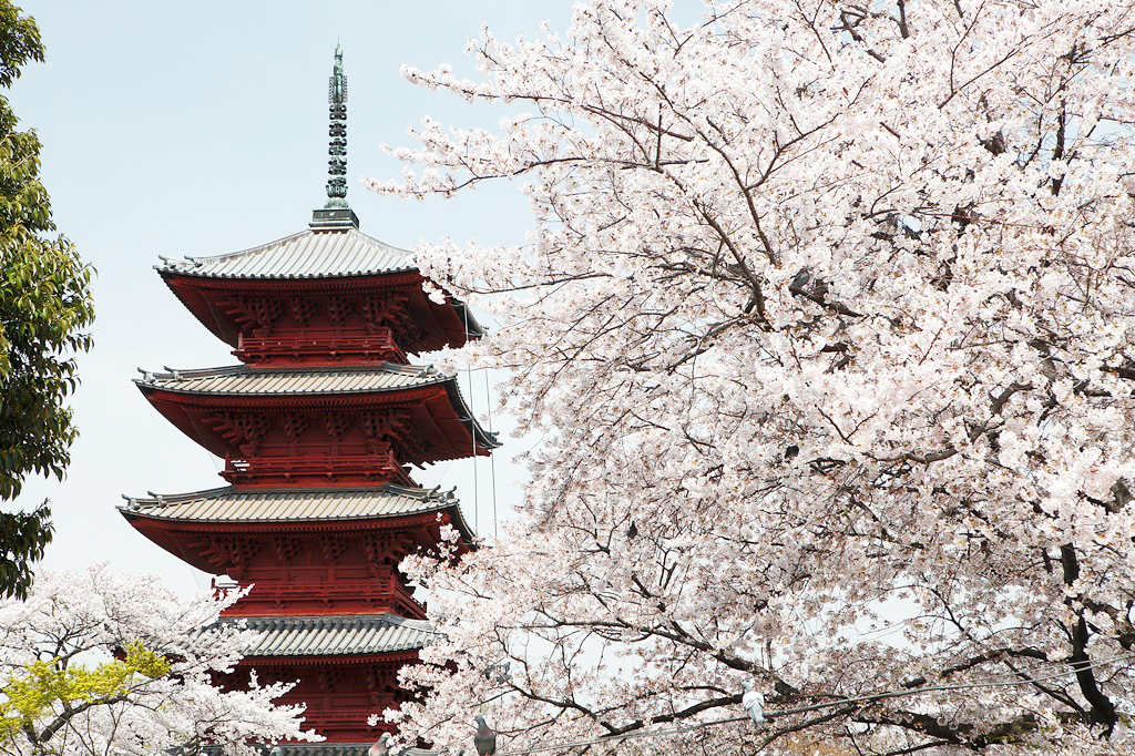 寺