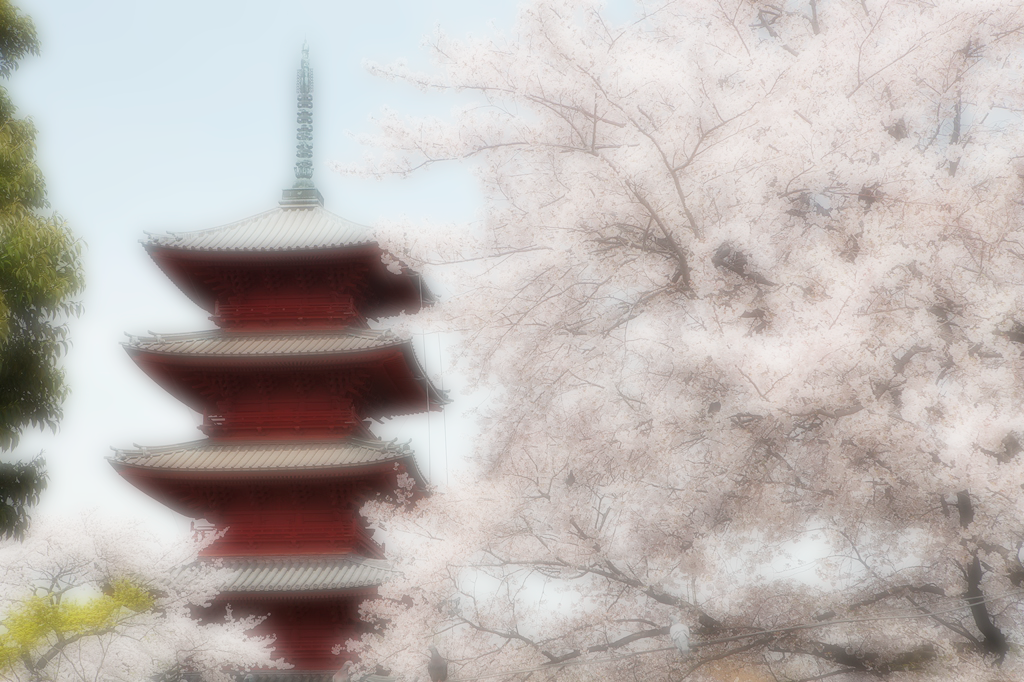 寺
