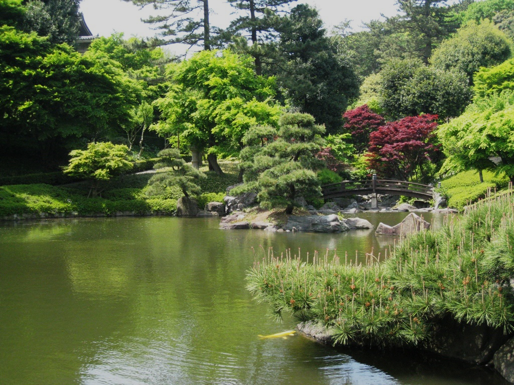 庭