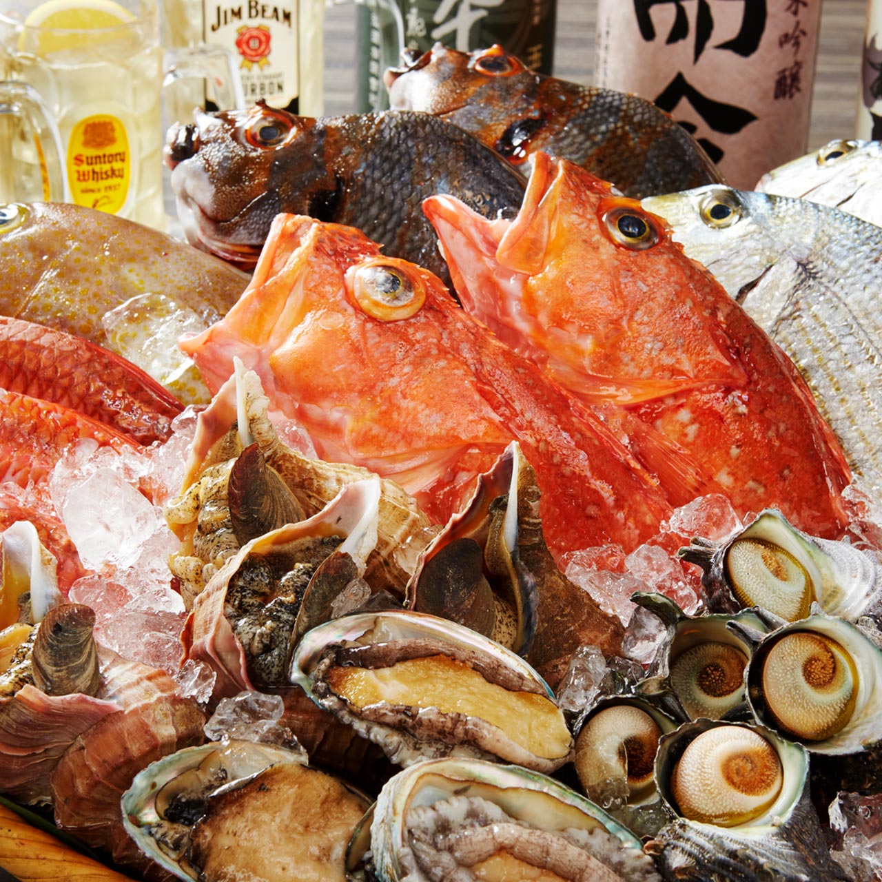 こだわり 魚盛 池袋店 ダイナック店舗情報サイト