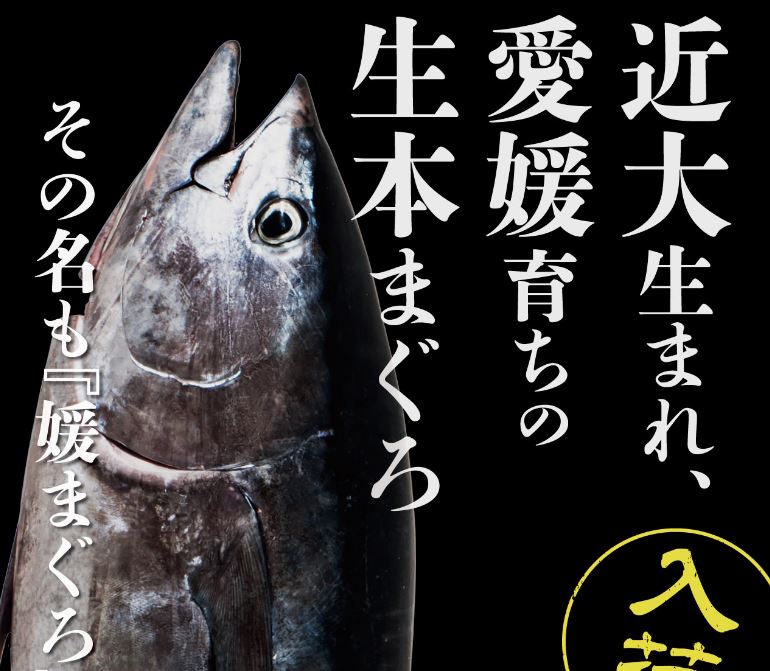 魚盛 コレド室町テラス店 東京 室町